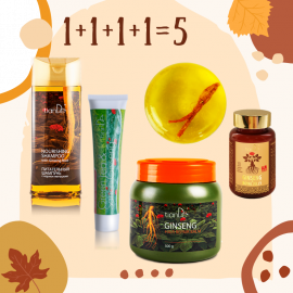 250910-11-a-ginzeng-ereje-akcio