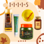 250910-11-a-ginzeng-ereje-akcio