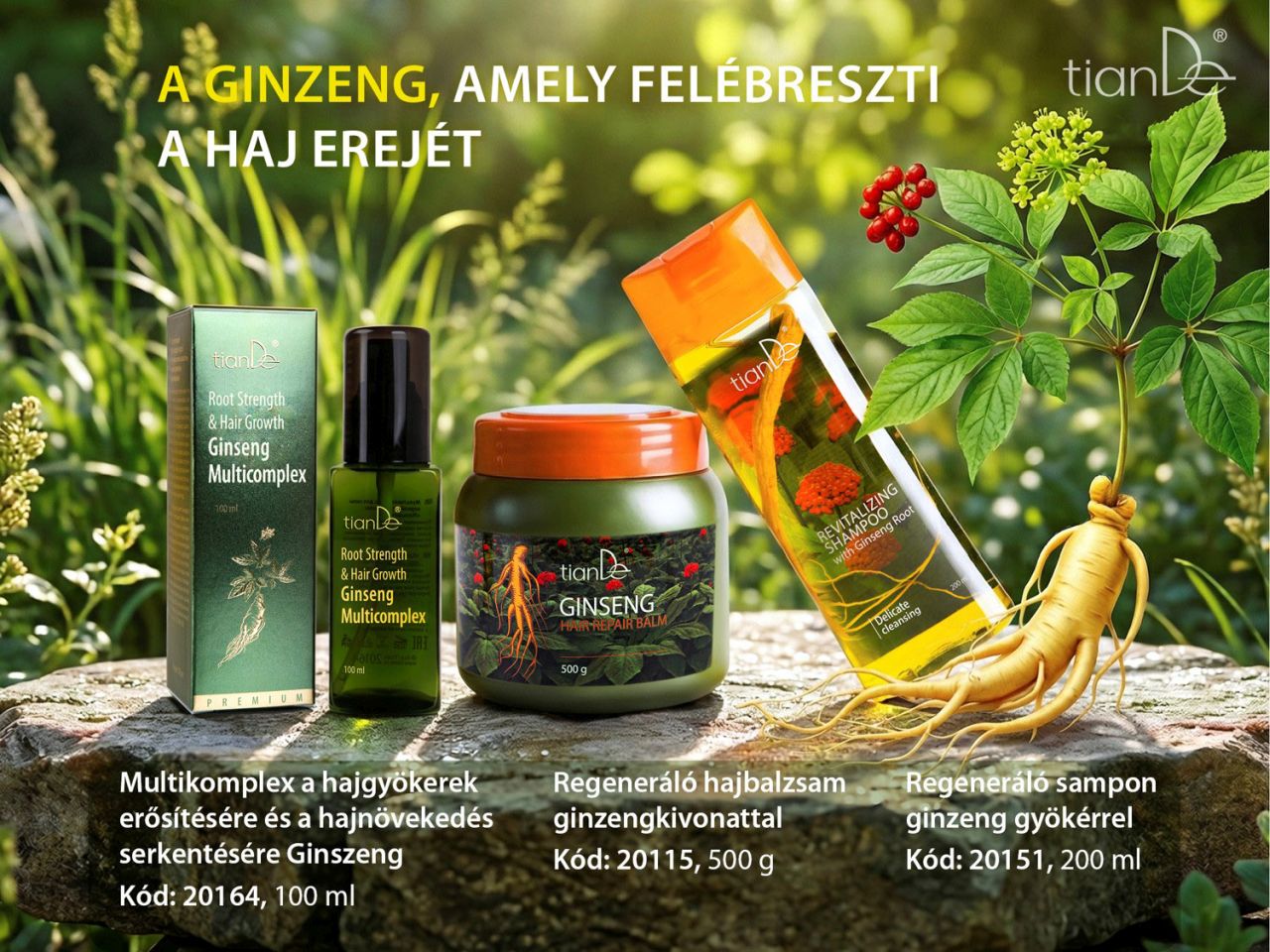 20164-tiande-ginzenges-multikomplex-06