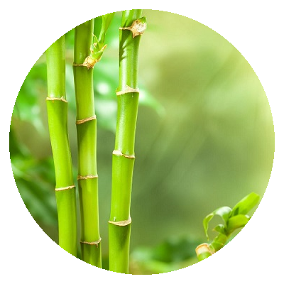 60141-tiande-termeszetes-bambuszso-foggel-01
