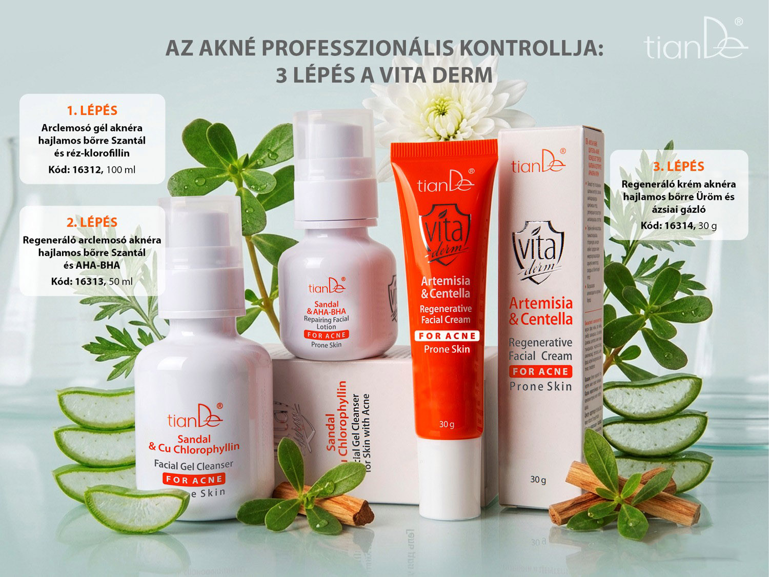 tiande-vita-derm-aknera-hajlamos-arcborapolo-termekcsalad-13